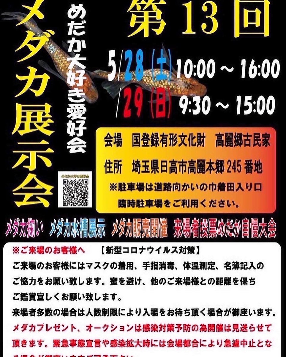 ooma_medaka's tweet photo. 先週末は神奈川でお会いした皆さんお声かけいただきありがとうございました🤗
皆さんが喜んででいただけるめだかを提供できていたら嬉しいです✨
さて今週末は❗️
大好き愛好会で展示会・即売会やりますよ✨
展示ではボトリウムやりますので見に来てくださいね♫
#大間めだか #めだか #メダカ #埼玉 https://t.co/YbJx5kU51a