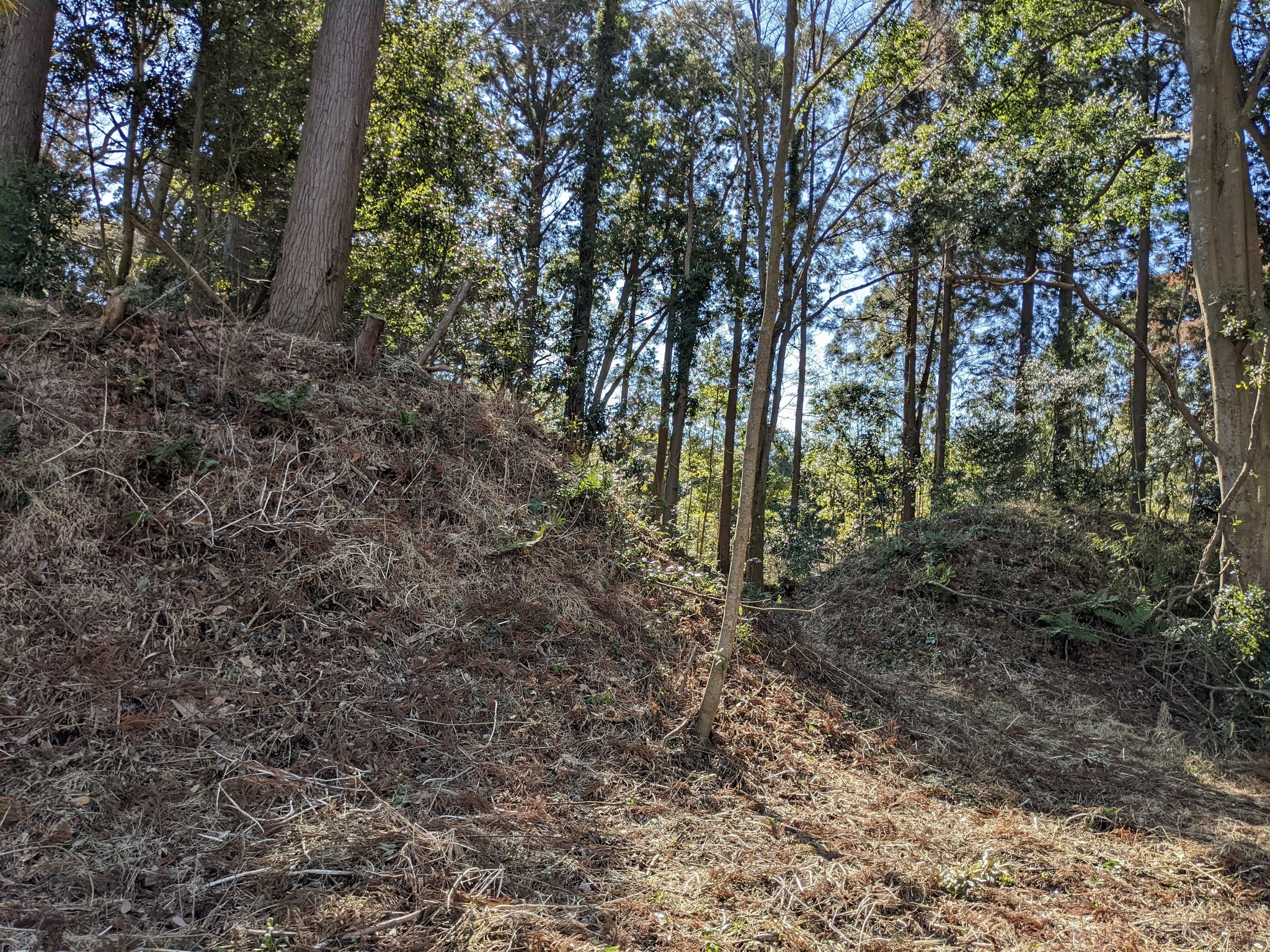 じゅんこモン 赤水図ｽｺﾞｲ 佐倉牧 油田牧 野馬土手 こちらにも 江戸時代の牧がありました 幕府直轄の牧です 佐倉七牧の1つ 香取市 T Co 3yohjy1s91 Twitter