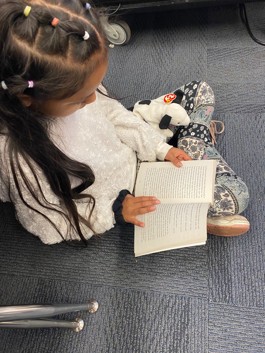 NeelandsSue's tweet photo. Grade level texts pair well with Beanie Babies @HillsElem 4th grade this rainy Monday! https://t.co/dR2YL8Vh2N