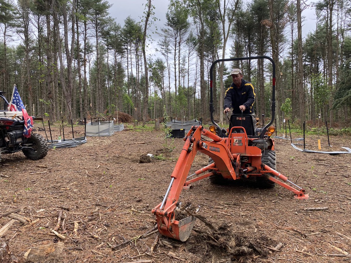 frmgrlnancy's tweet photo. The food plots are growing well. Time to get a few fruit trees in. We tried making little fences around each tree to keep the deer off them. Worked OK, but we made a better fence after we got these pears planted. https://t.co/fBGZPg4OjB