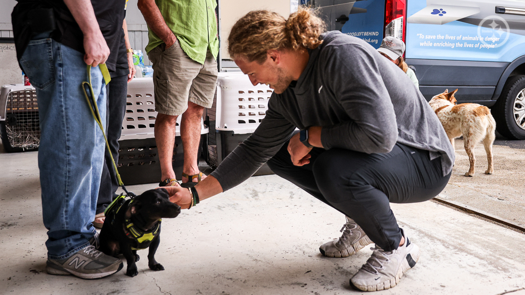 SteelersCR's tweet photo. This afternoon, Derrek Tuszka traveled to Allegheny County Airport to visit No Dog Left Behind, a nonprofit focused on rescuing animals that have run out of time at one shelter, and relocating them to a new shelter for a second chance at adoption. https://t.co/3OxbKLdFi4