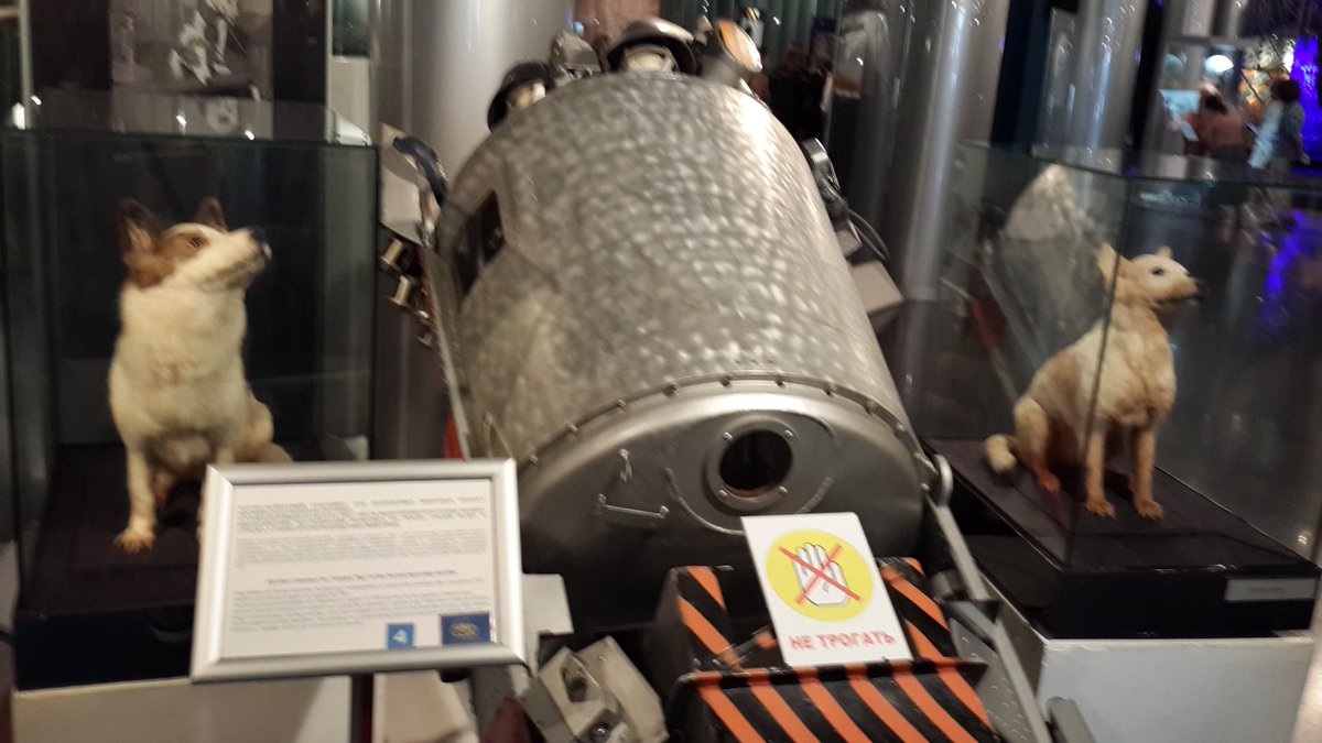Uzay yolculuğundan dönmüşler . Bu minnoşlar !öylesine içimden  geçti .“ Yuri Gagarin “ Herhalde ruhu rahmet istemiş.# Moskova Uzay Müzesi..