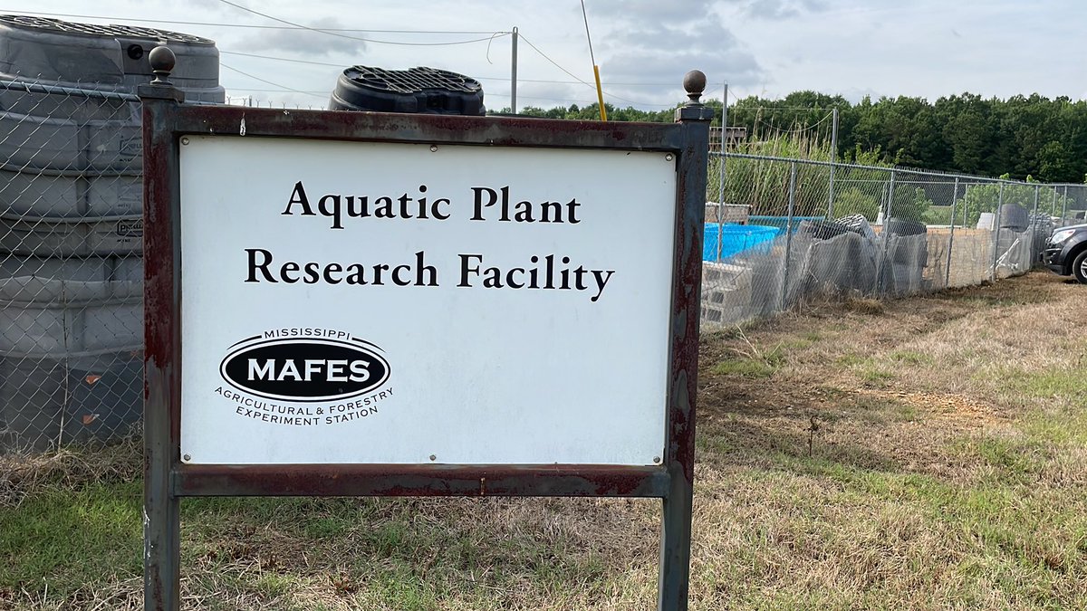 ASample02's tweet image. Back at it!