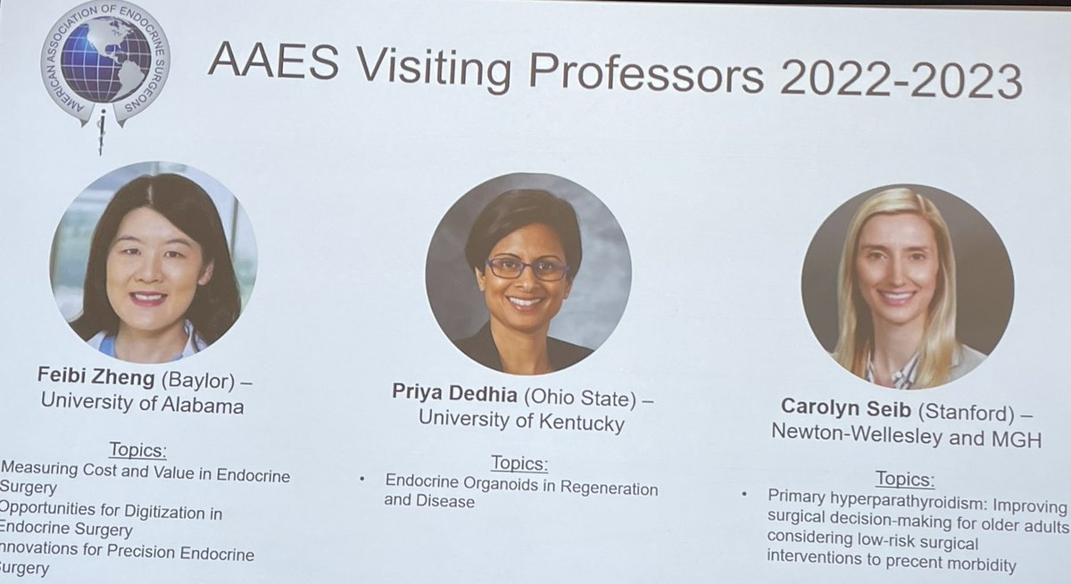 TheAAES's tweet photo. Please take a moment to congratulate our #AAES2022 visiting professors @FeibiZheng @priyaknows and @DaceySeib

#Risingstars ⭐️⭐️⭐️ https://t.co/jSoIlTgX19