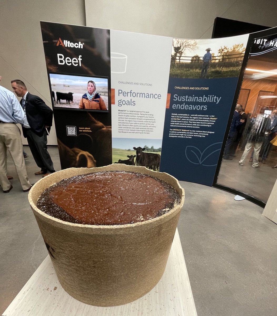 Bob_at_Alltech's tweet photo. Edible mineral buckets. Could plastic buckets be a thing of the past? Lots of new ideas being discussed at #alltechone #alltecheurope https://t.co/eMjR4NAyzy