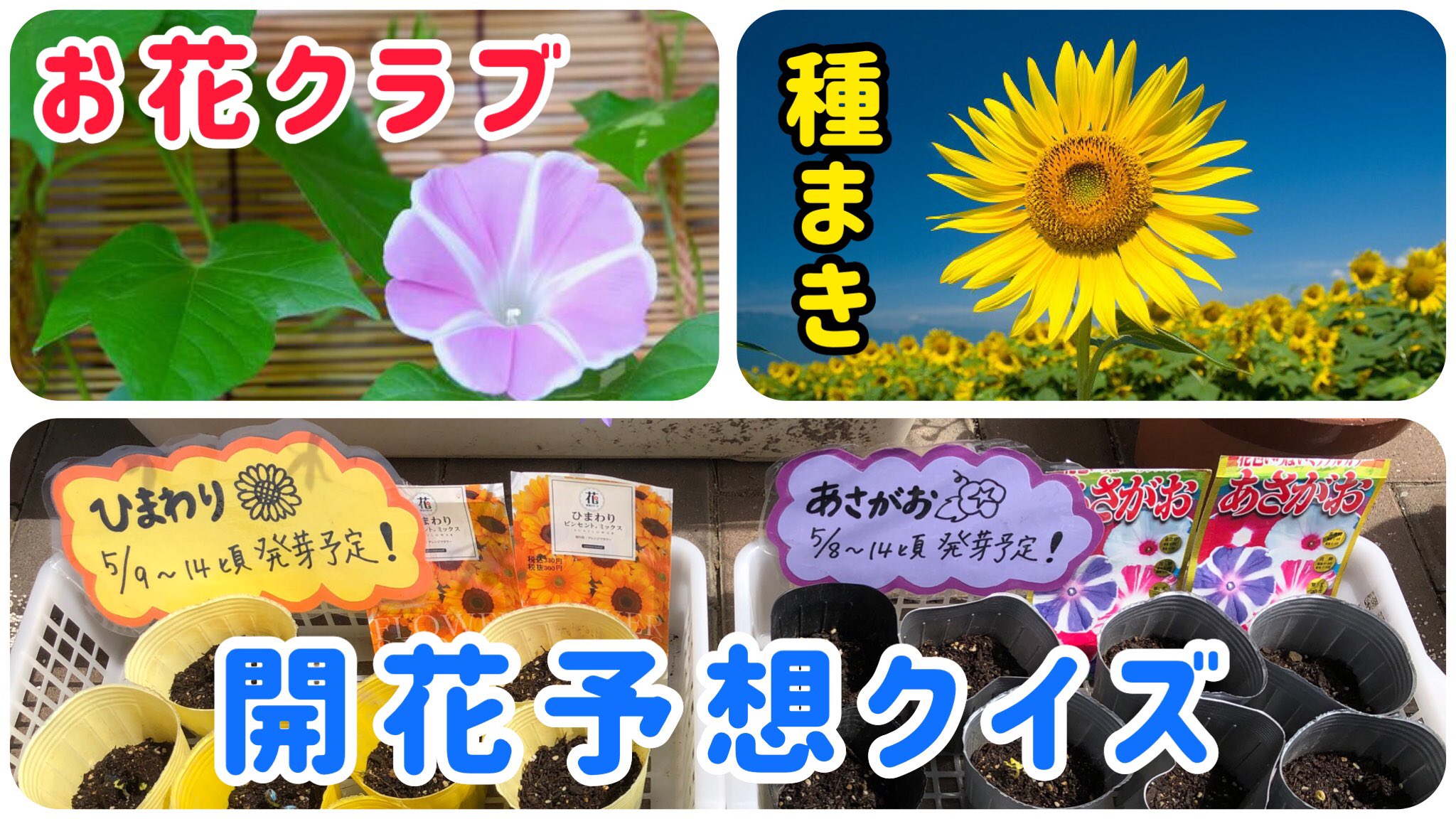 介護応援団 介護の芽チャンネル 14nonsense Twitter
