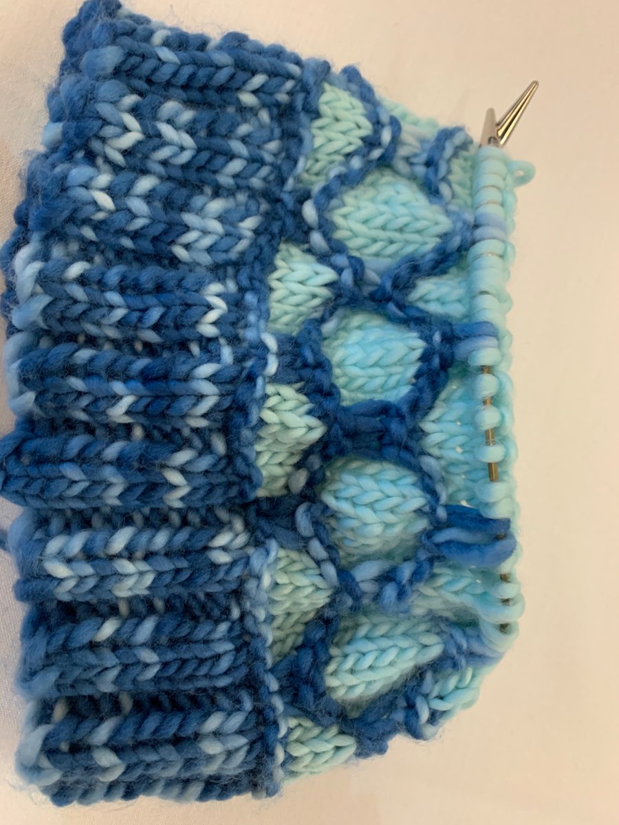 Today I’m restarting my favorite conference tradition of trying to knit a whole hat during the conference then give it away! Anyone at #ArcticX want a hat!? Trying to make it look like sea ice!! 🌊❄️
