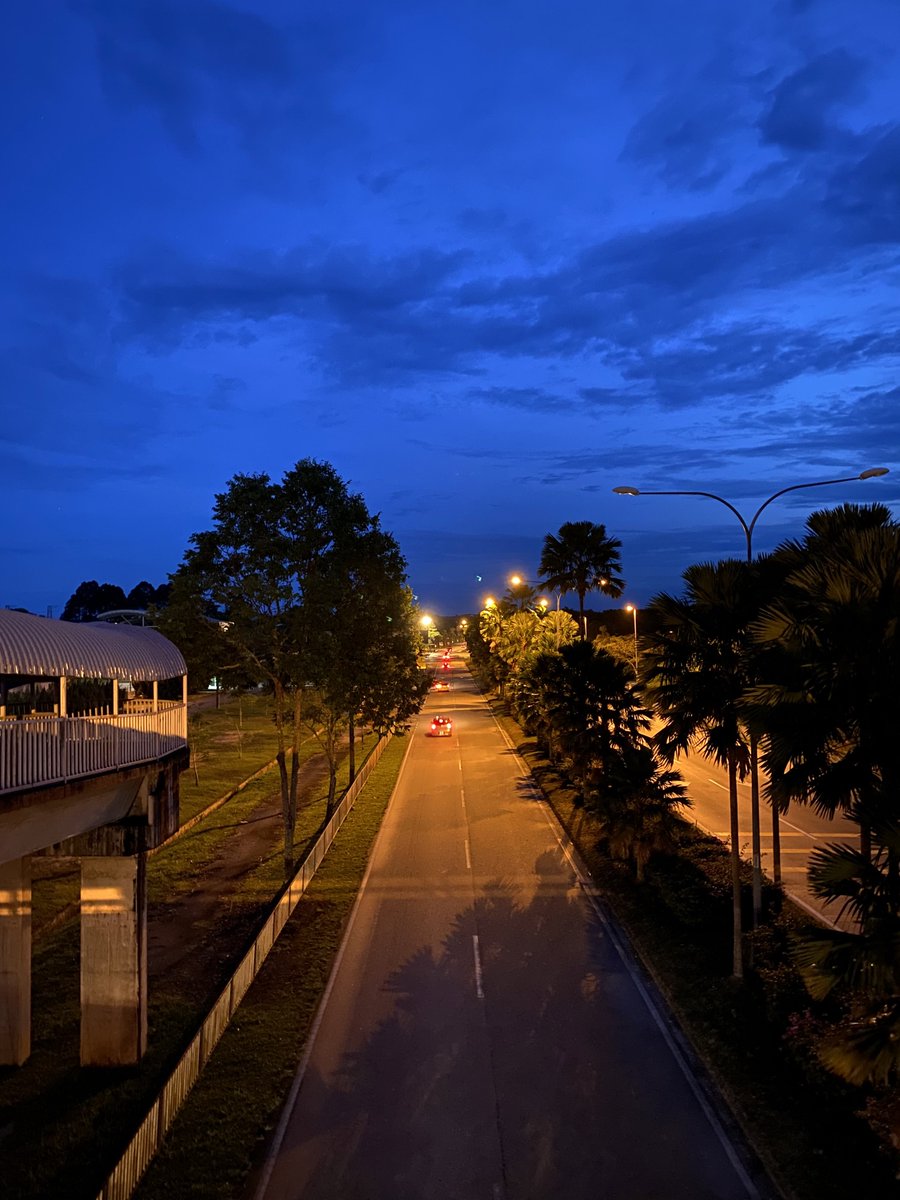 فجرية باردة