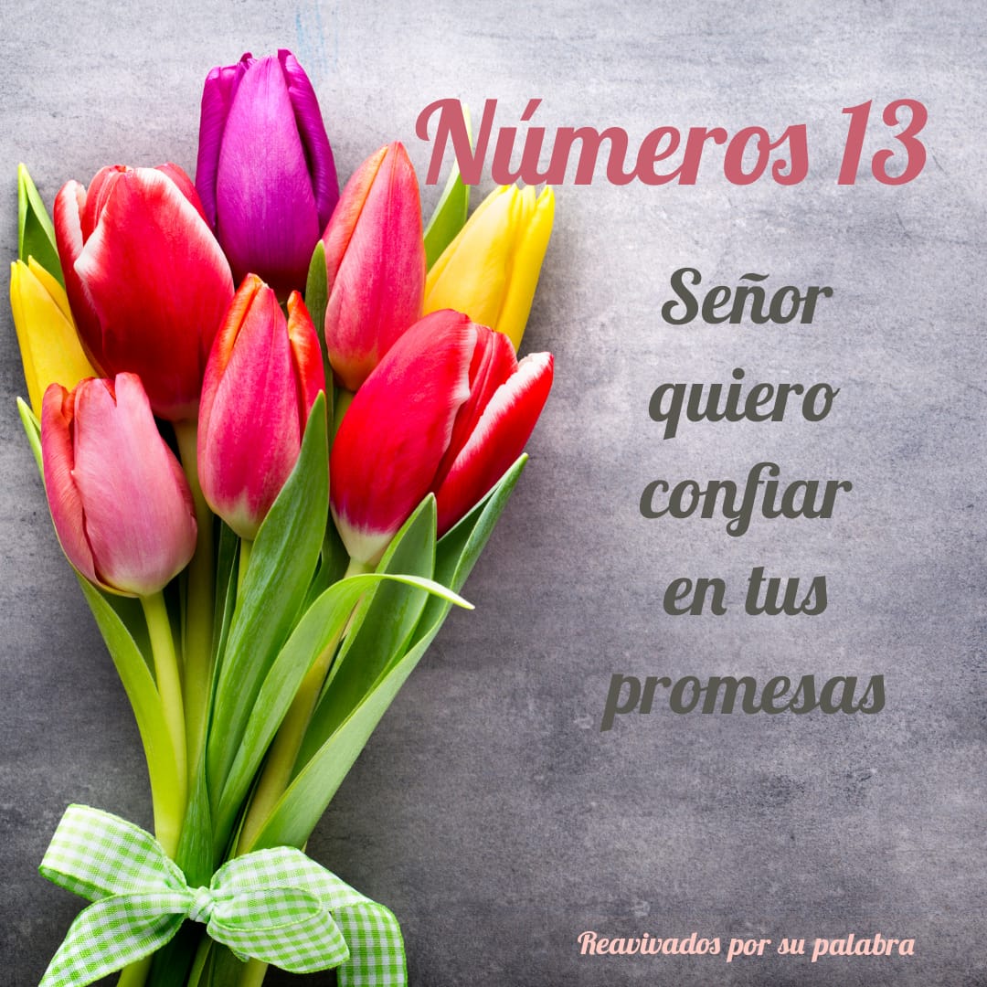 VelisBessy1's tweet photo. Caleb estaba seguro que Dios estaba con ellos (num 13:30)... esa confianza de Josué y Caleb necesitamos hoy .#Num13 #rpsp #leeuncapitulodiario https://t.co/4GZTnAt7Fx