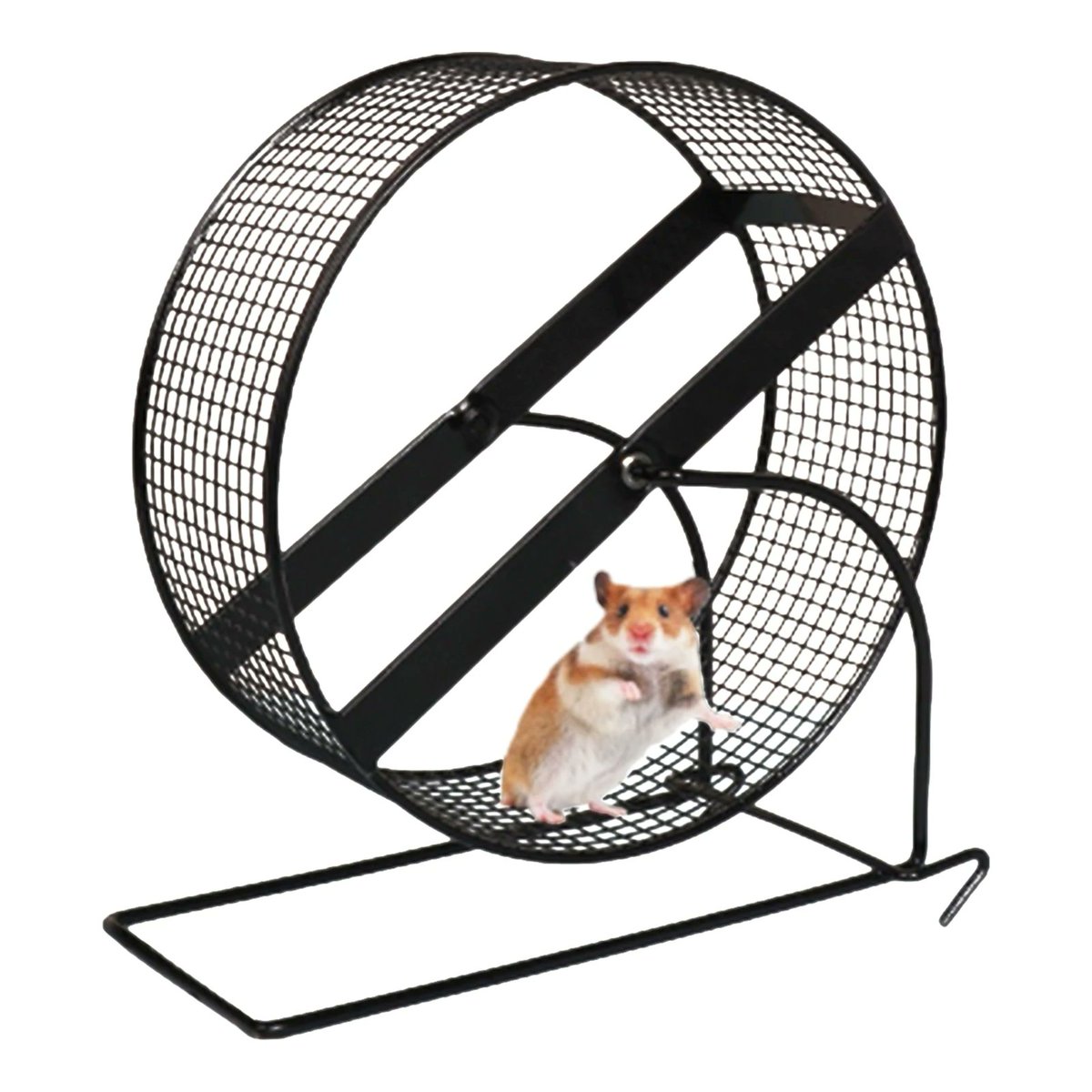 BozoMore's tweet image. Need a New Exercise Wheel for Your Small Pet, well look in our store for a few varieties today!
#smallanimalsupplies
#smallanimals
#cage
#woodshavings
#hay 
#bunny
#ferret
#chincilla
#rabbit
#hampster
#furryfriends
#hedgehog
#littlepet