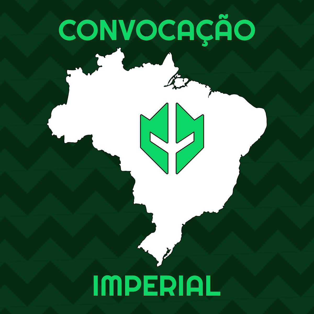 Torcida Organizada da Imperial tweet media