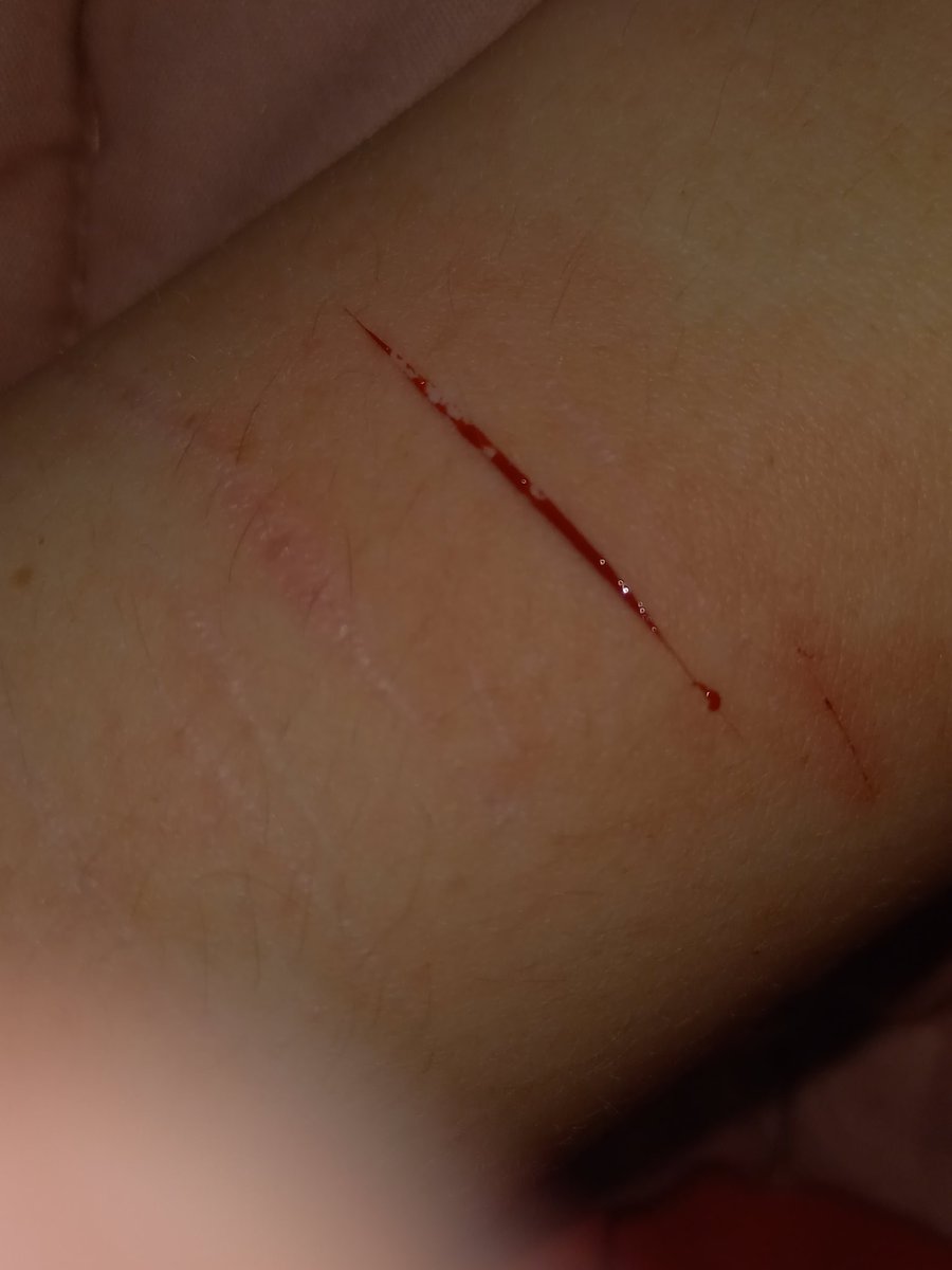 oingoboingfan86's tweet photo. My favs from my old account, im hoping to break open my sharpener so i can start again
#shtwt | #ouchietwt | #catscratchtwt | #strawberryfilling https://t.co/CKikcQVAle