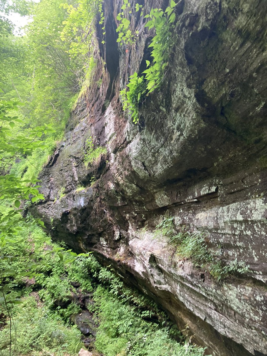 SCacalacky's tweet photo. @TheNextSummitA1 Hiked in Ellicott Rock Wilderness at the southern tip of the hazy Blue Ridge Mountains along the East Fork of the Chattooga River. https://t.co/s0N7i5J2C9