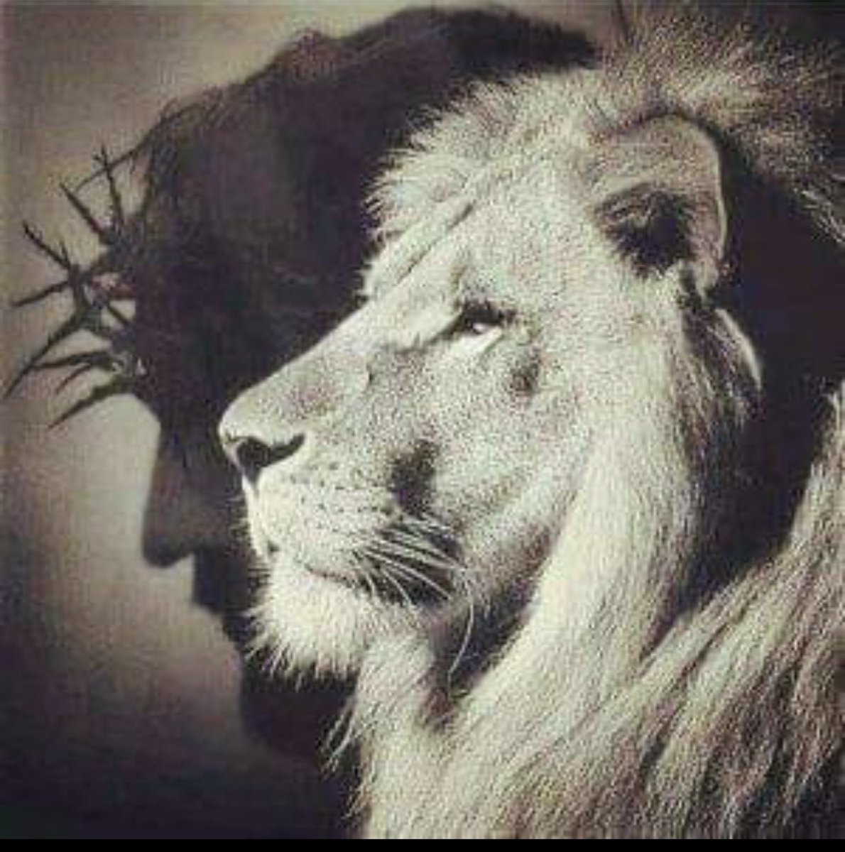 Sweetleo723's tweet image. I know I’m Royalty bcuz The King lives in me💯