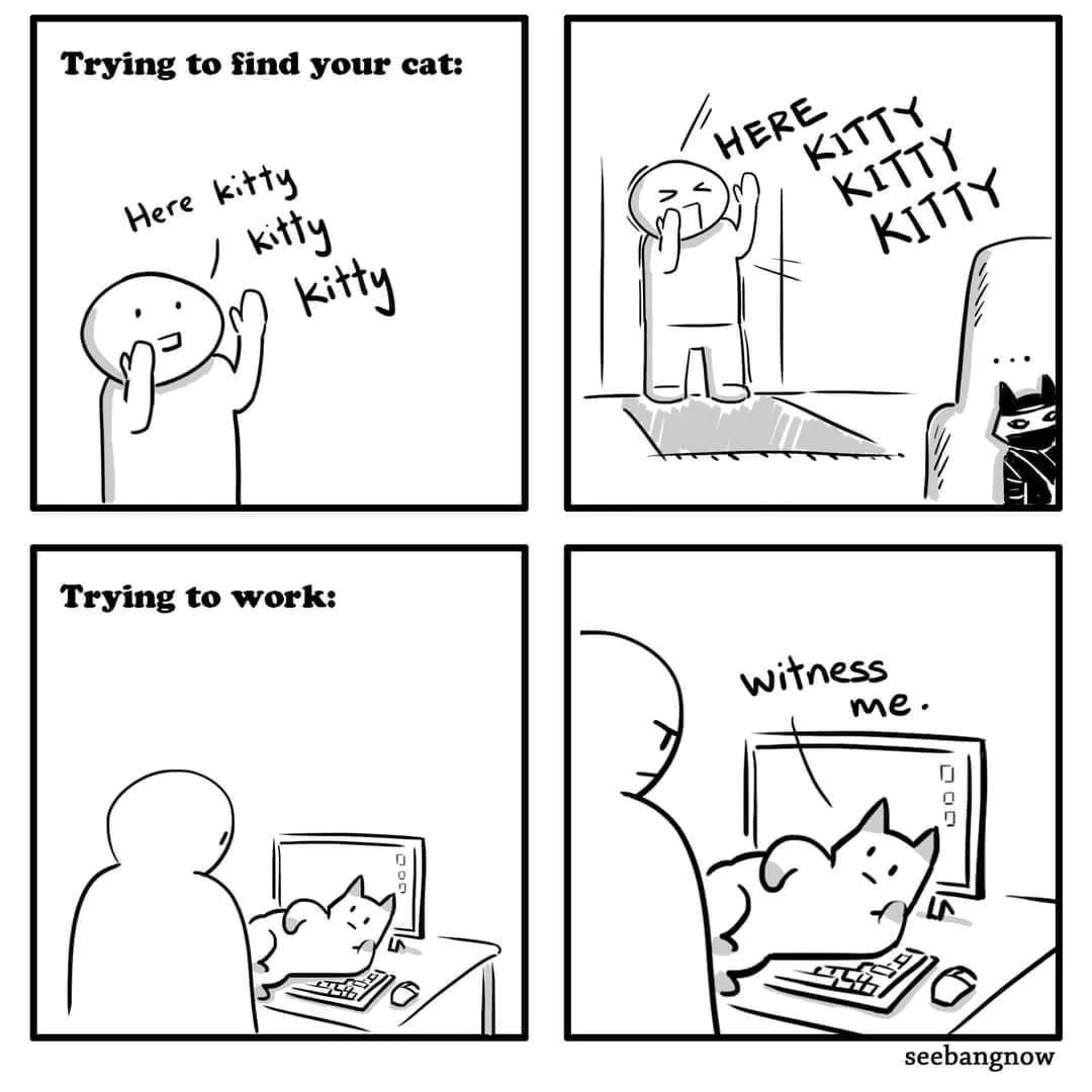 Image of this social media content