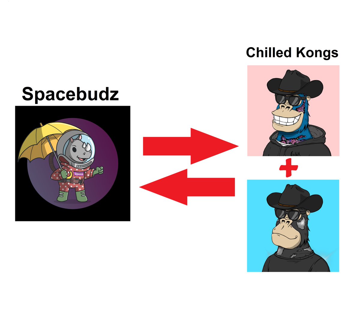 Onpointtrader1's tweet photo. A HUGE trade happened between my Top 2 #Cardano NFTs today. What do you think of this trade?

Don't sleep on any of these projects!
@spacebudzNFT @ChilledKongs #spacebudz #chilledkongs #NFT https://t.co/DKDIxT0sL8