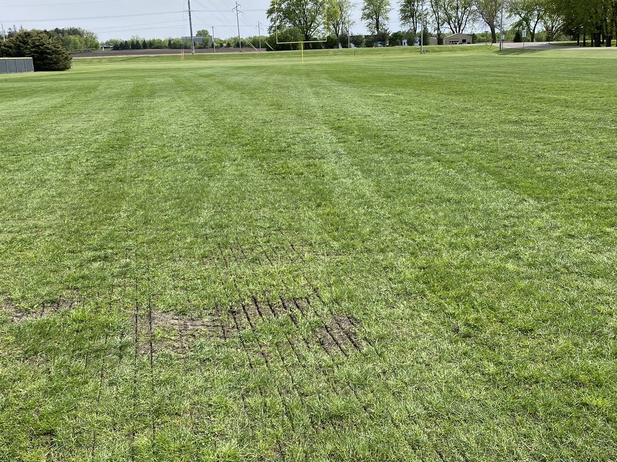 Berg Turf tweet media