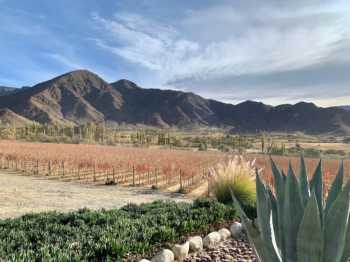 AteneoSalta's tweet photo. • Bodega Puna •

El sábado 21 fuimos a la Bodega Puna en Cachi. Recorrimos la producción vitivinícola y el proceso de producción del vino 🍇

Muchas gracias a Bodega Puna por recibirnos! Fue una experiencia maravillosa para nuestro ateneo. https://t.co/W1wkk1Mvc5