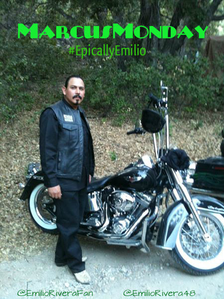 EmilioRiveraFan's tweet photo. How is your #MarcusMonday going? 🥳

#EmilioRivera #ElPadrino #MarcusAlvarez #Presidente #MayansMonday #MayansMC #MayansFX #HereWeGoAgain @EmilioRivera48 @MayansFX @MsHarleyD https://t.co/SBQvL5SsJt