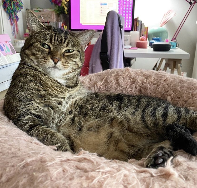 Sam Reece tweet media