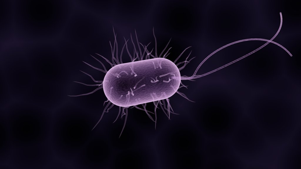 InvestmenValueF's tweet photo. Staph infections: the genetic underpinnings - https://t.co/Pmc5nMtA79 https://t.co/jxHgoHuVoW