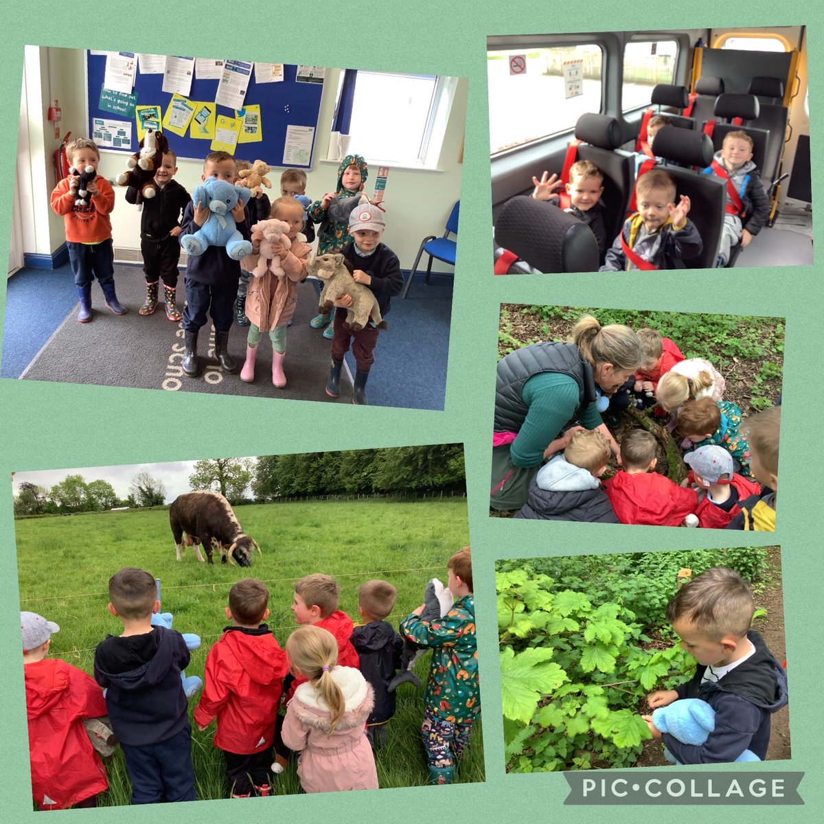 Stoneraise School tweet media