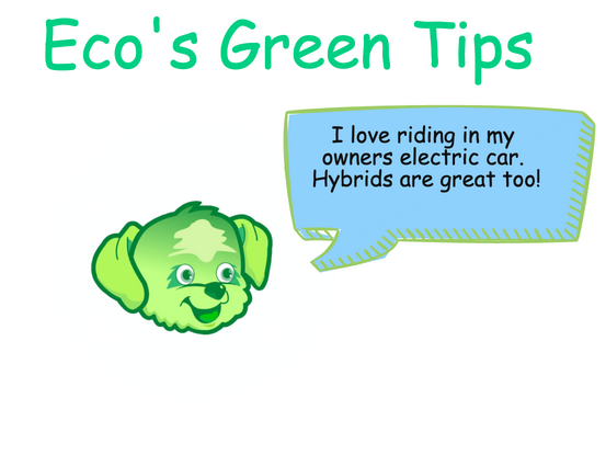 GreeningWorld's tweet photo. #ecostar.io  $ESR #cryptocurrency  #token #memecoin #NFTCommunity #GoGreen https://t.co/SinkLxkj52
