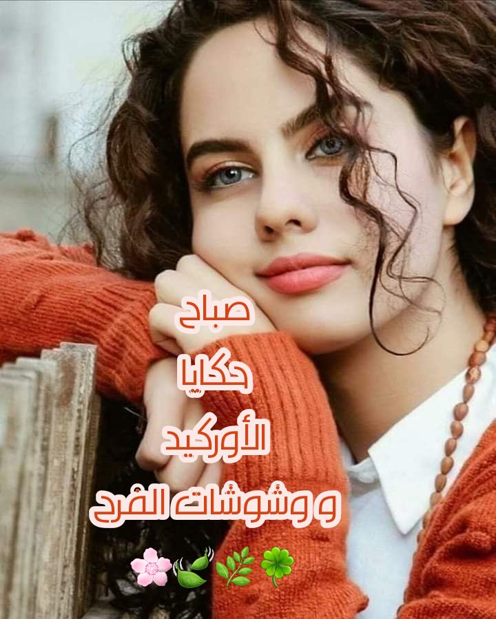 هدوء امراه tweet media