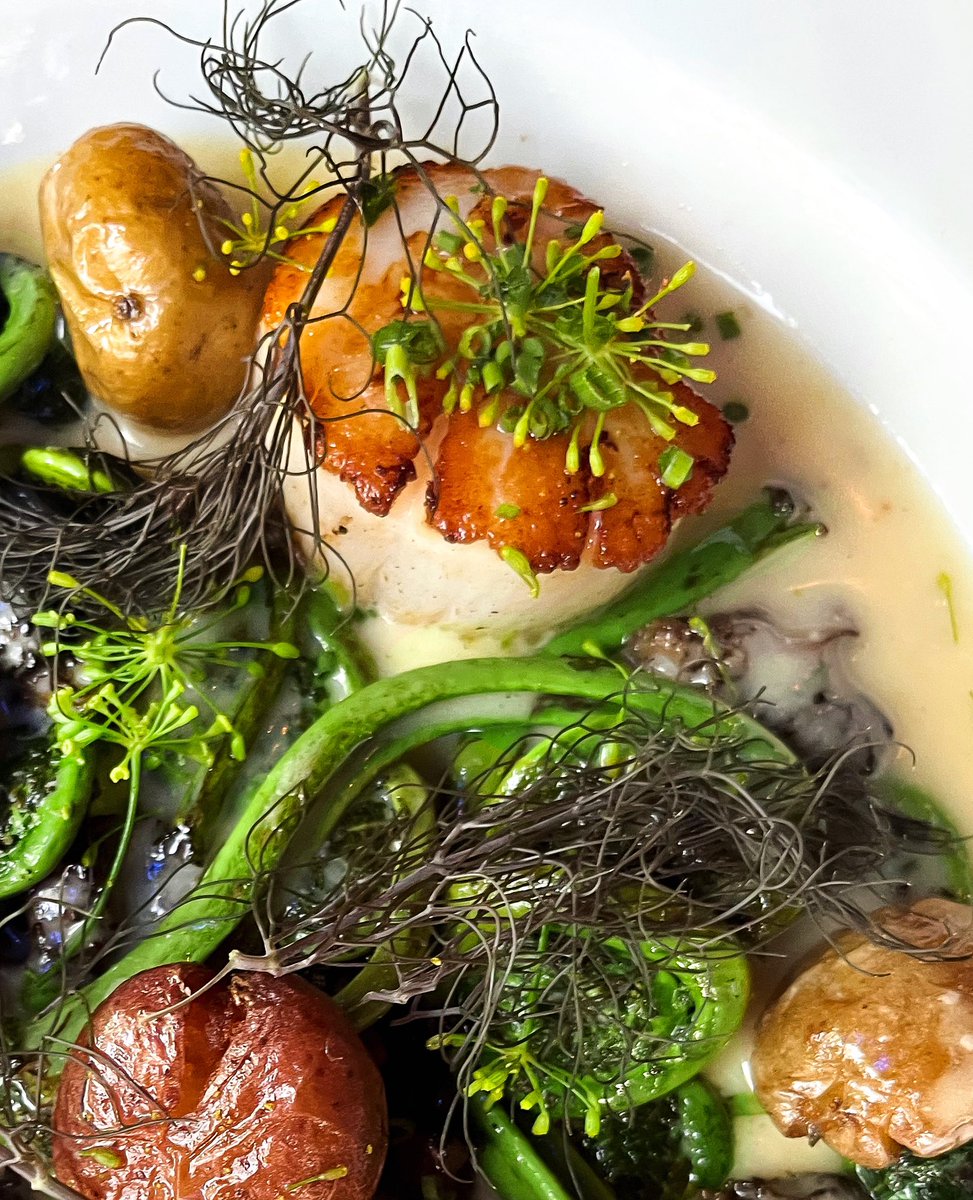 Close-up of  a most exquisite dish on the #justinesblackboard:
⚜️⚜️Maine Diver Scallops ⚜️⚜️
With Morel Mushrooms, Fiddlehead Ferns, Roasted Occitan Potatoes, a perfect Buerre Blanc and Dill Flowers 🌸 
#prettiestspringtime #thankyouMaine <a href="/j/">j</a>.Huff: seafood god ;)