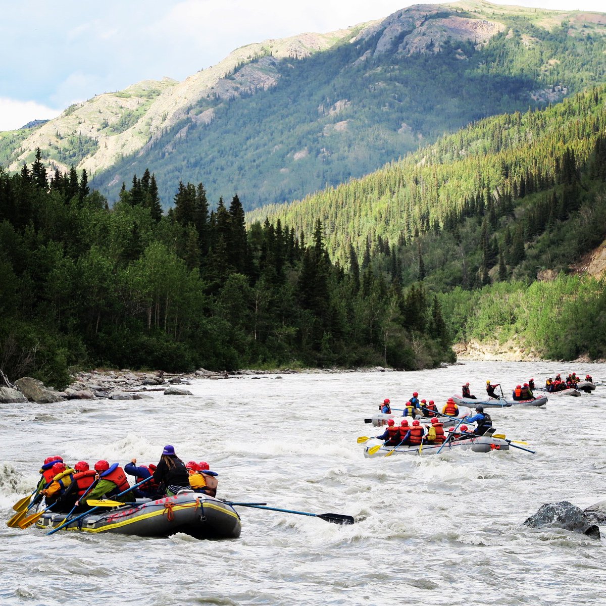 AlaskaTourscom's tweet photo. Are you considering a trip to one of Alaska's 8 national parks? Here's why you should: https://t.co/wRmjcEYaDa
#alaskatours #alaskavacations #alaskatravel https://t.co/0PiZSy4ceY