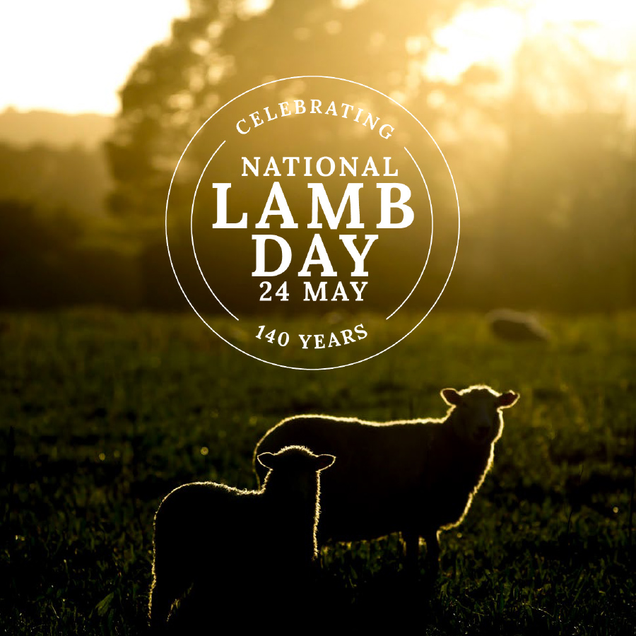 Beef + Lamb New Zealand on Twitter "On National Lamb Day we reflect on