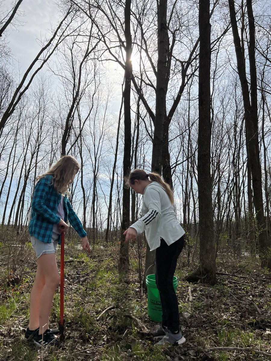Dlanderspulaski's tweet photo. A big thank you to all the @PCSD_PCMS 6/7 graders  who helped with planting over 1k trees in our #schoolforest replanting efforts after our timber harvest. Thank you @WDNR  for the trees! @LEAF_K12_Forest @WAEE40 #raiderstrong https://t.co/8shTLal6dG