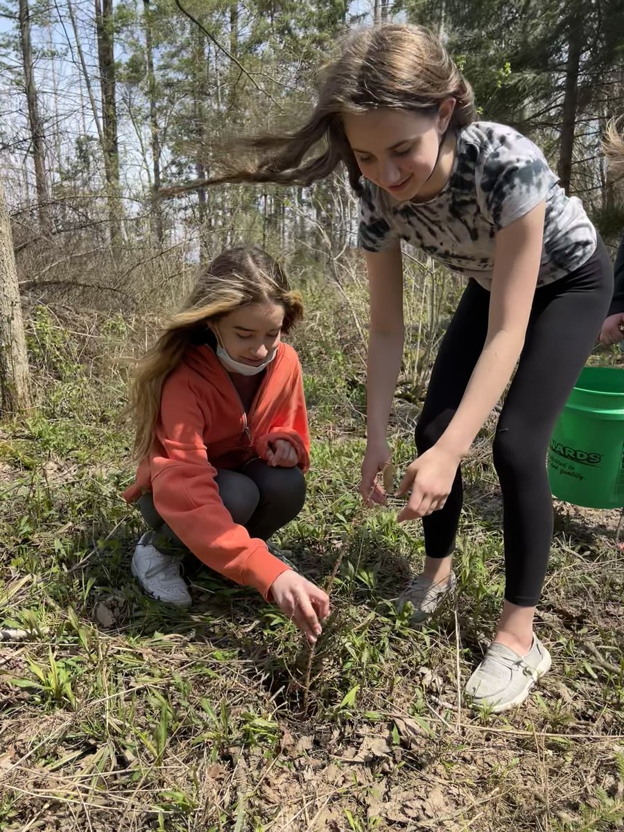 Dlanderspulaski's tweet photo. A big thank you to all the @PCSD_PCMS 6/7 graders  who helped with planting over 1k trees in our #schoolforest replanting efforts after our timber harvest. Thank you @WDNR  for the trees! @LEAF_K12_Forest @WAEE40 #raiderstrong https://t.co/8shTLal6dG