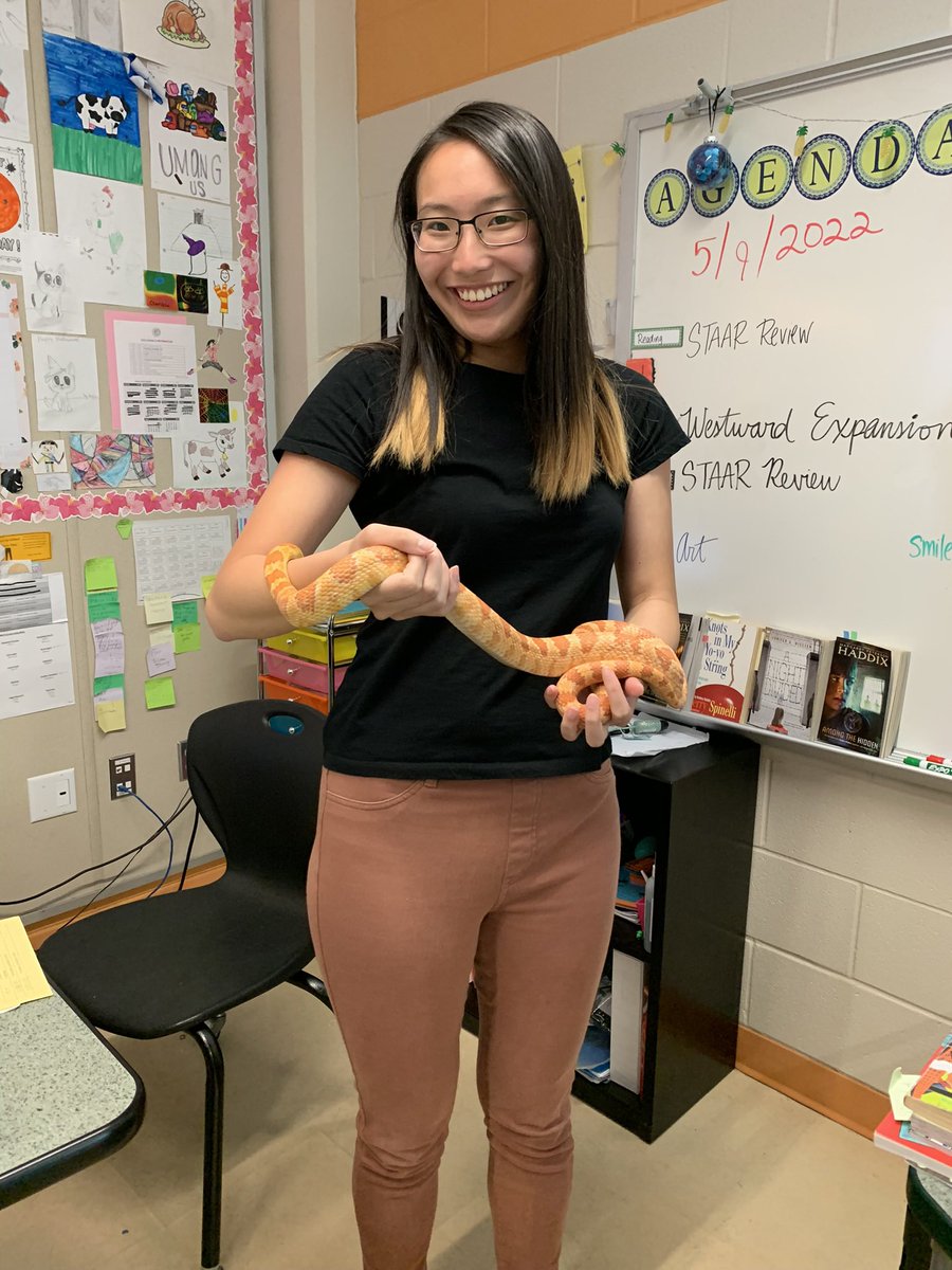 MissMoey's tweet photo. We had fun meeting Sandy the Snake earlier this month!☺️ https://t.co/AQgz1Oe4Cc