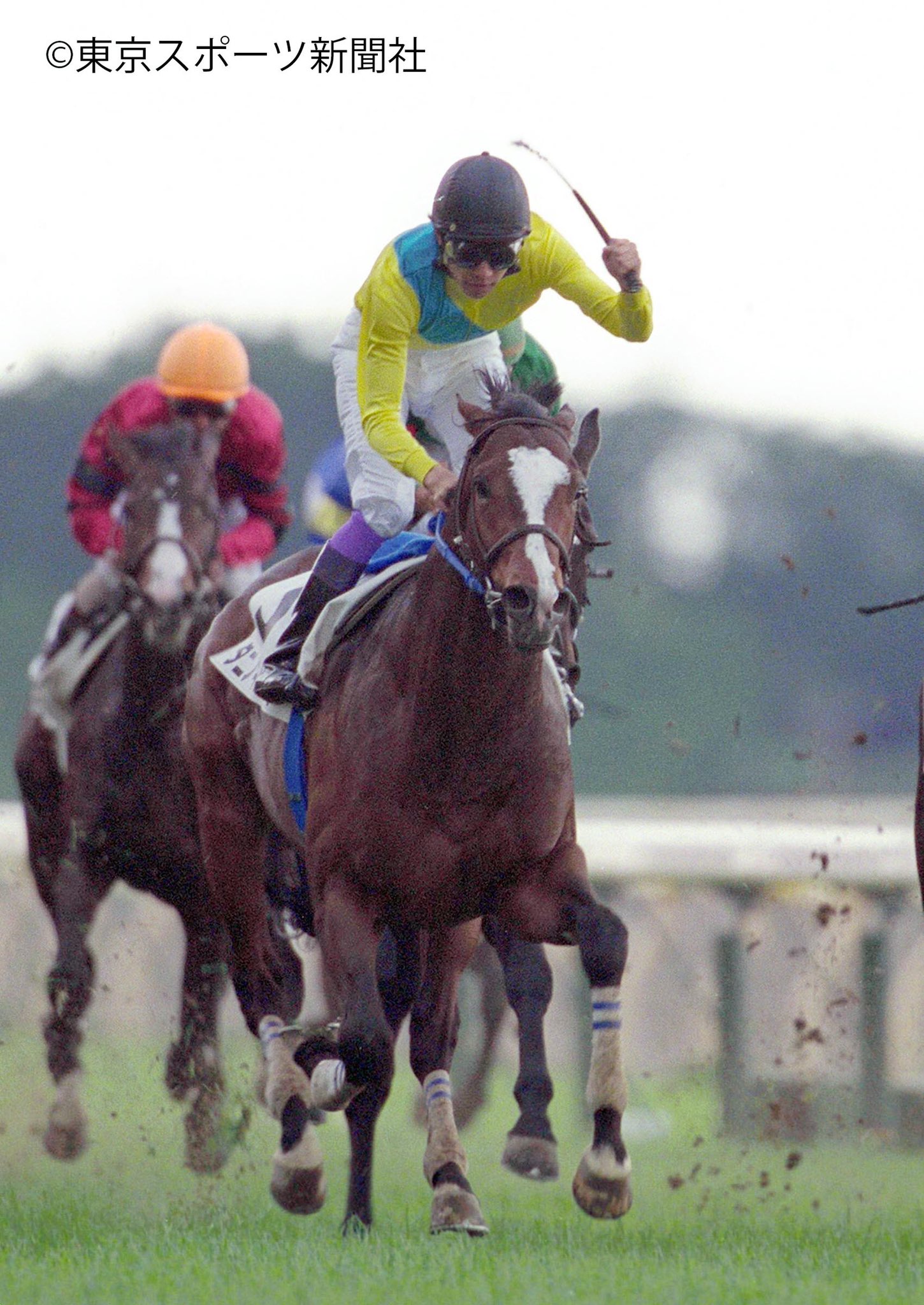東スポ競馬 ダービーウイークの火曜日 おはようございます タニノギムレット 日本ダービー 東スポ競馬 競馬 Pog T Co Euftv1fcju Twitter