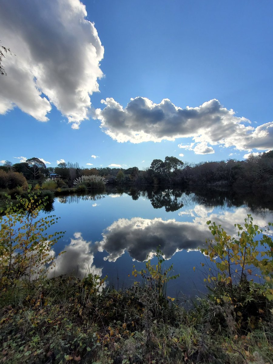 Autumn in #Daylesford