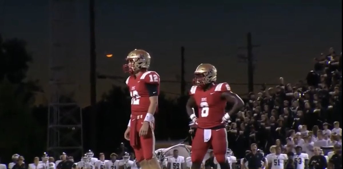 ROME WOLVES 🐺🐾 tweet media