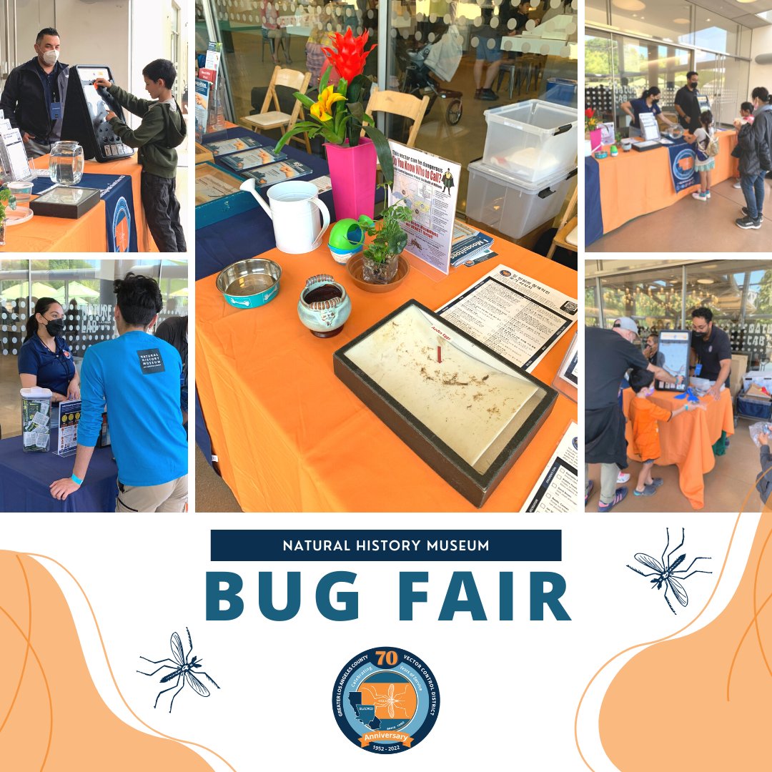 GLAmosquito's tweet photo. Thank you to #LACounty residents for stopping by our Mosquito booth at the @NHMLA #BugFair this past weekend. We love talking to families about how to keep pesky mosquitoes away. Mosquito control can be a family activity - #TipTossTakeAction together!  #communityoutreach https://t.co/jKGicSaDRZ