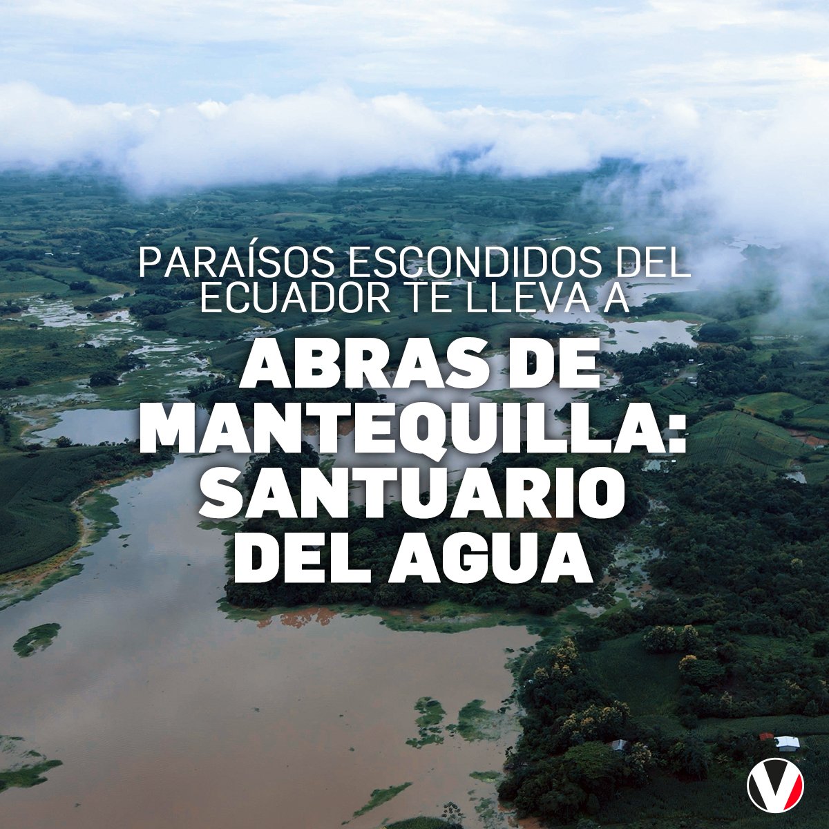 revistavistazo's tweet photo. ¿Si supieras que puedas tomar un auto y en un par de horas llegar a uno de los santuarios de agua más importantes del país, lo harías?

#ParaísosEscondidosdelEcuador te lleva hasta Abras de Mantequilla, uno los hábitats de vida más fantásticos del país ▶️ https://t.co/WB925jLxGO https://t.co/m5yeRwmYQh