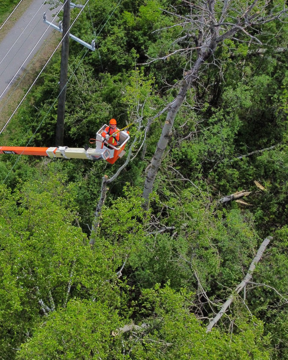Our neighbours to the south are here to help! Crews from the US have crossed the border to assist with getting the lights back on. Saturday’s #ONstom caused extensive damage, and we appreciate everyone’s patience. Thank you to the crews for coming!
