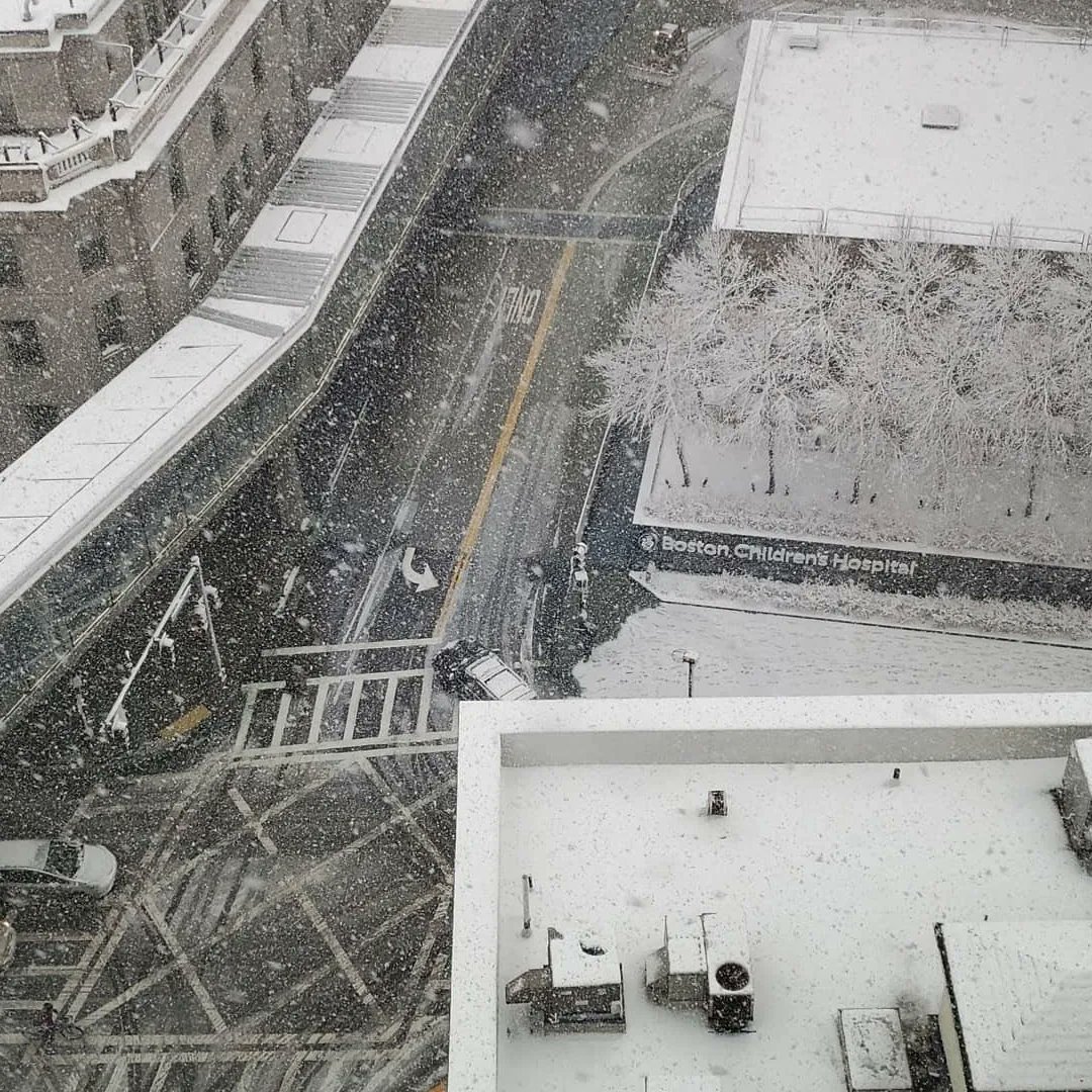 victor_fattori's tweet photo. 4 seasons @BostonChildrens https://t.co/RqJEJMGuk9