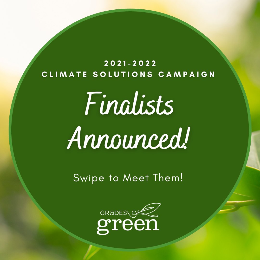 Grades of Green tweet media