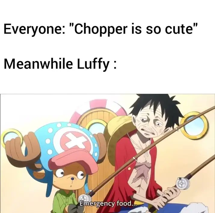 Daily OP Memes on X: Anime : One Piece  / X