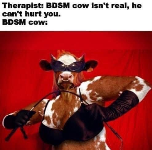 When your safe word is #FDAapproved