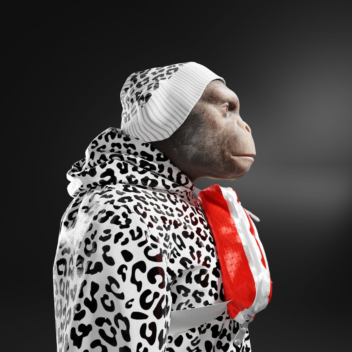 SurgeoNft tweet media