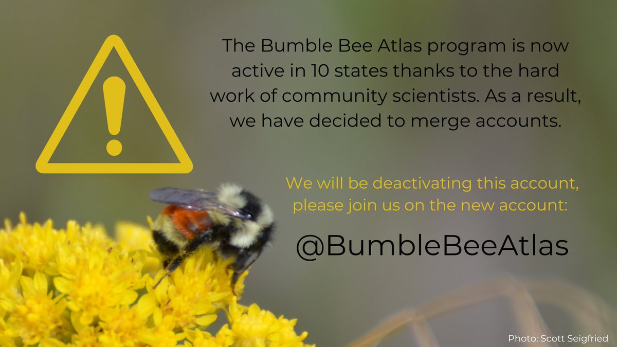 PNW Bumblebee Atlas tweet media