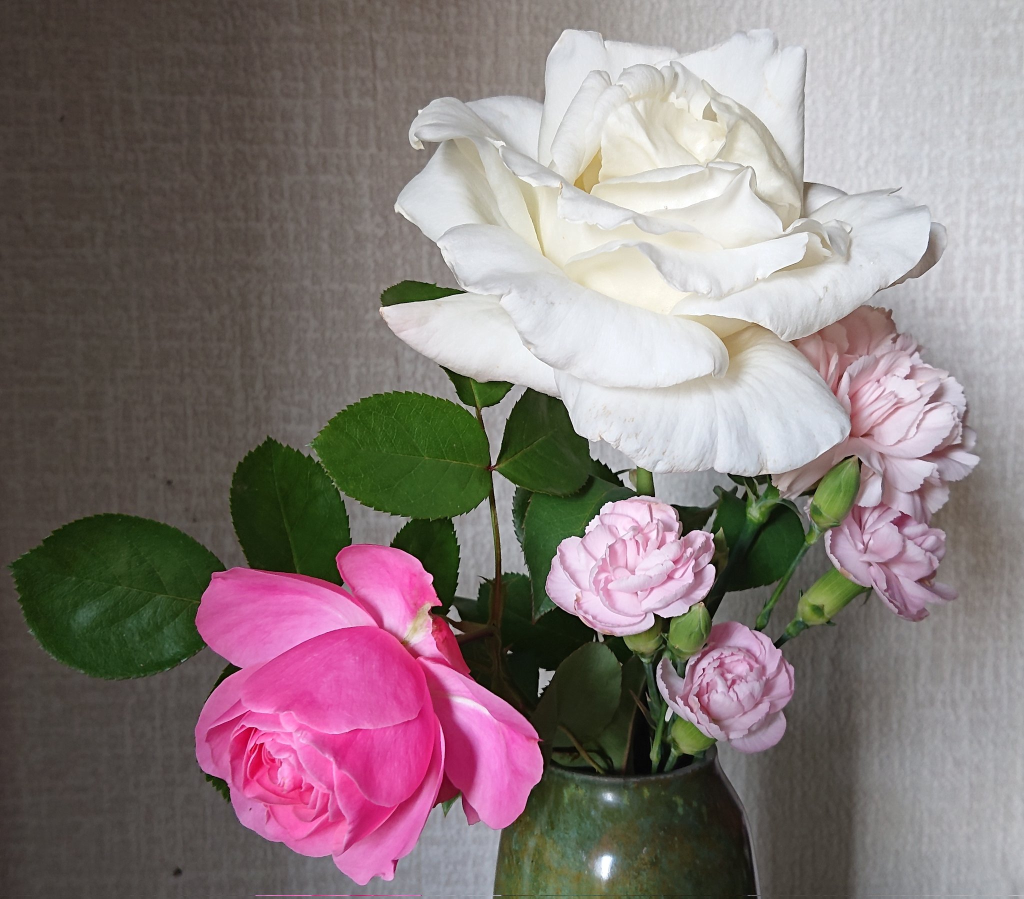 Gonta バラを切り花にしました 白バラがでかくて 昨年までと違う種類かと思うほどです 直径15cm位あります ガーデニング T Co Peejhvh8g3 Twitter