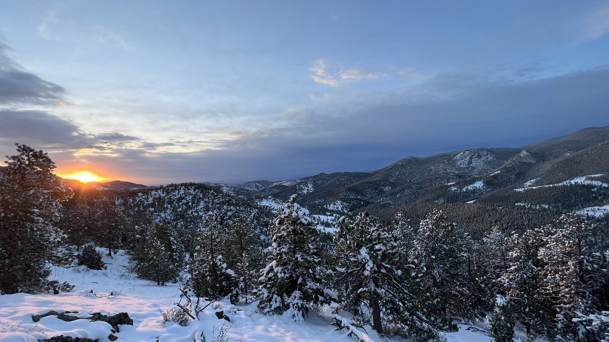 Suley5676's tweet photo. @coloradoparks I loved  stopping by your woods on a snowy morning. #colorado #hiking https://t.co/ZoWMLaVaYz