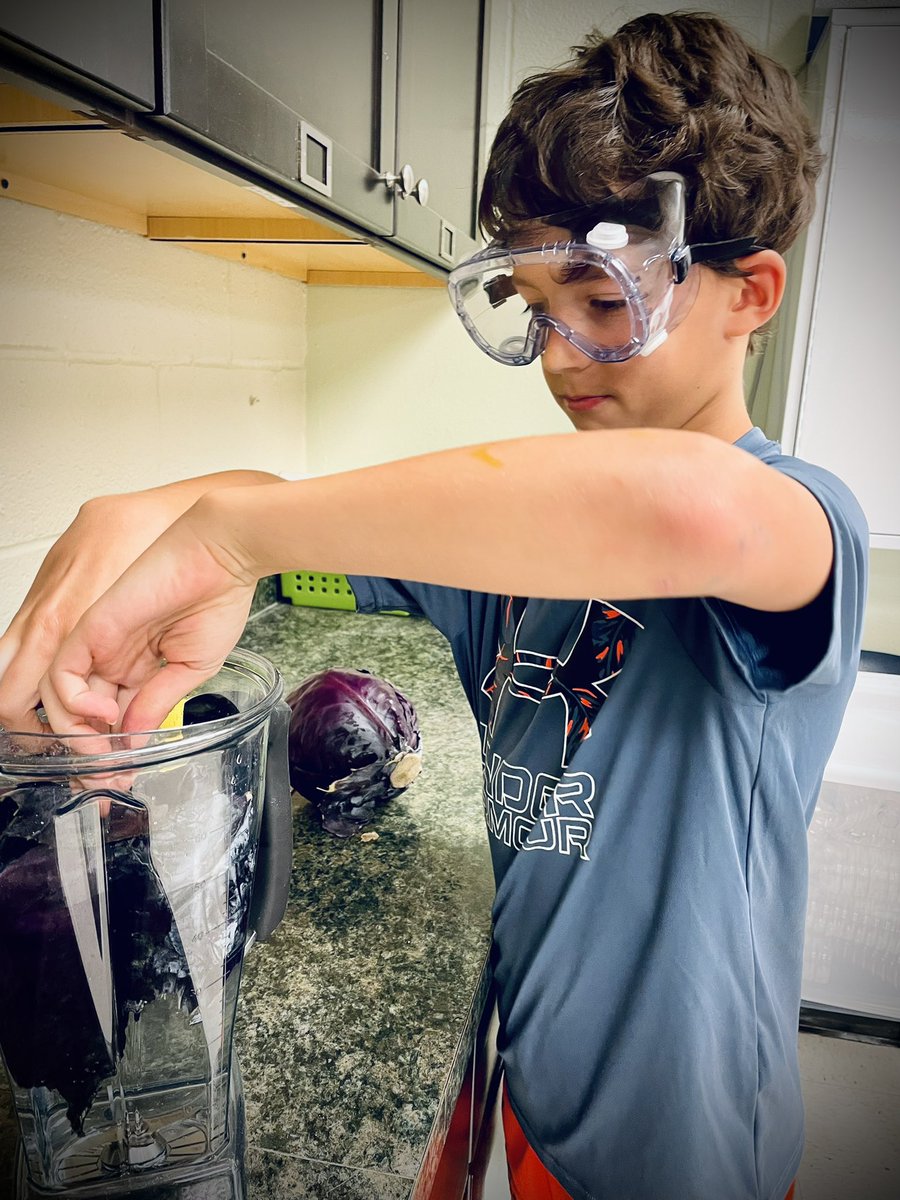 RLifescience's tweet image. Learning about acids and bases in our Chemistry Lab Experience with these @RNE_Foundation Soiree Auction winners. #rnegreatthings #gsta #gadoescience #Chemistry