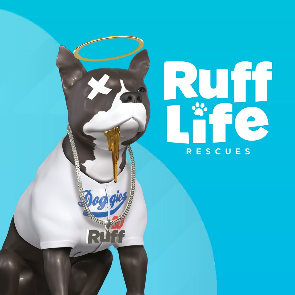 We're are extremely proud of the accomplishments made by the RuffLife Rescues NFT project. They have officially made the largest crypto donation in Canadian history to the BC SPCA. Their second collection is being released soon- check them out and stay tuned for whats next!!
